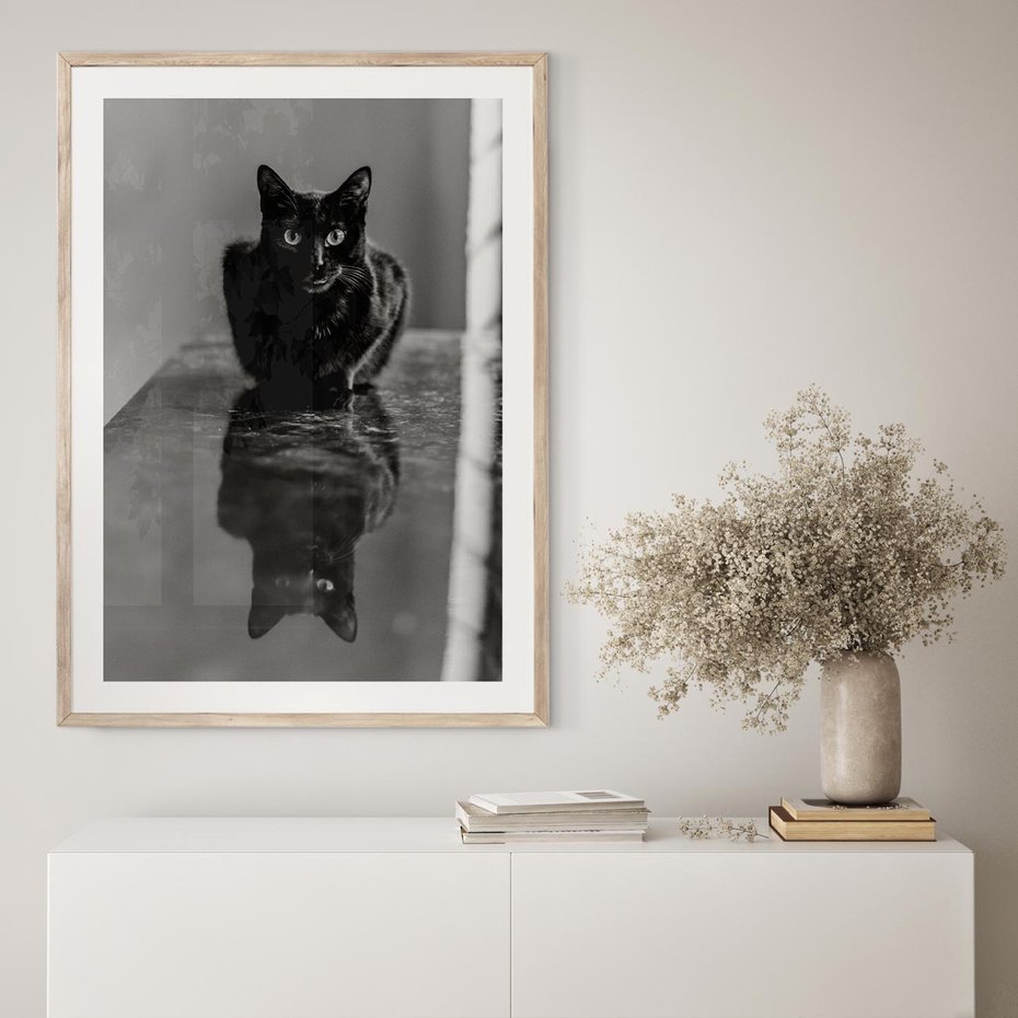 Plakat w ramie 30x40 - Kocie Oczy - kot, czarno białe zdjęcie - rama drewno