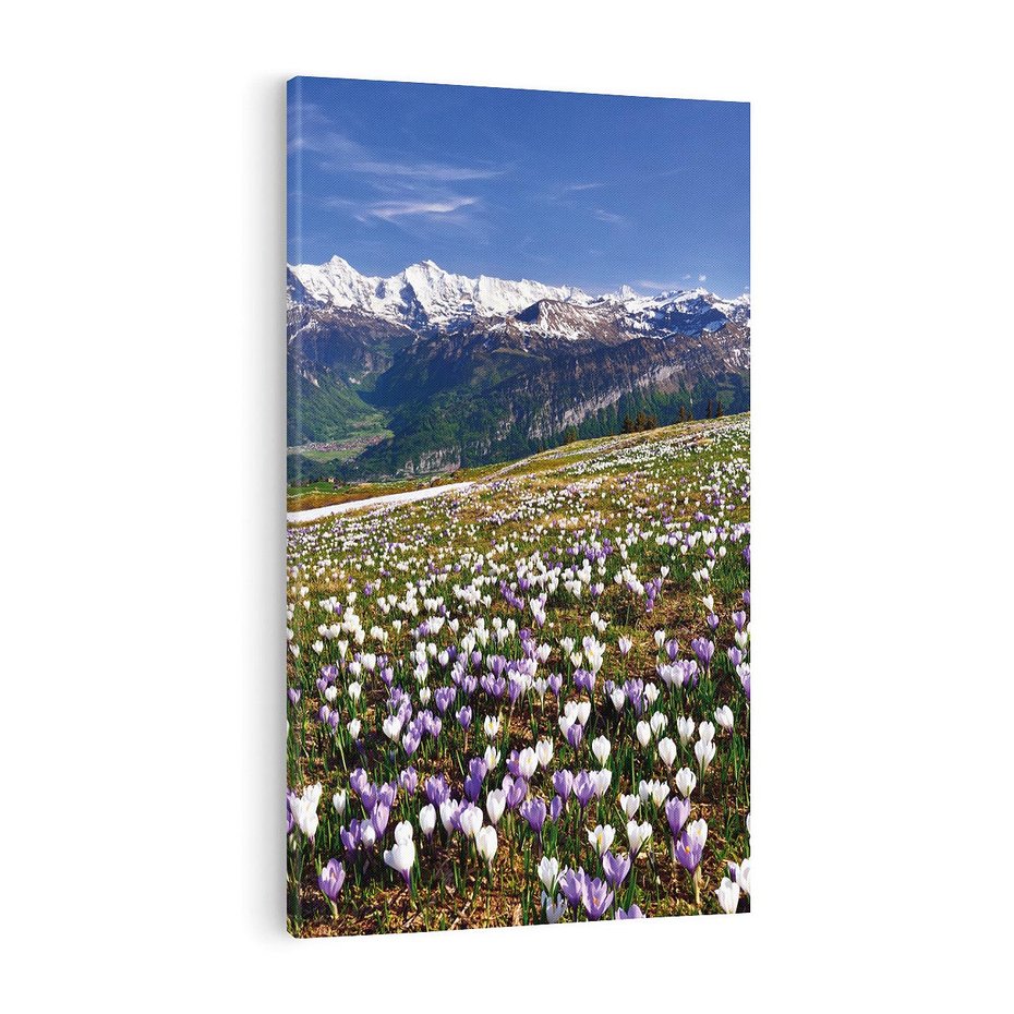 Obraz na płótnie 50x70 - Wiosenne Czarowanie - krokusy, góry