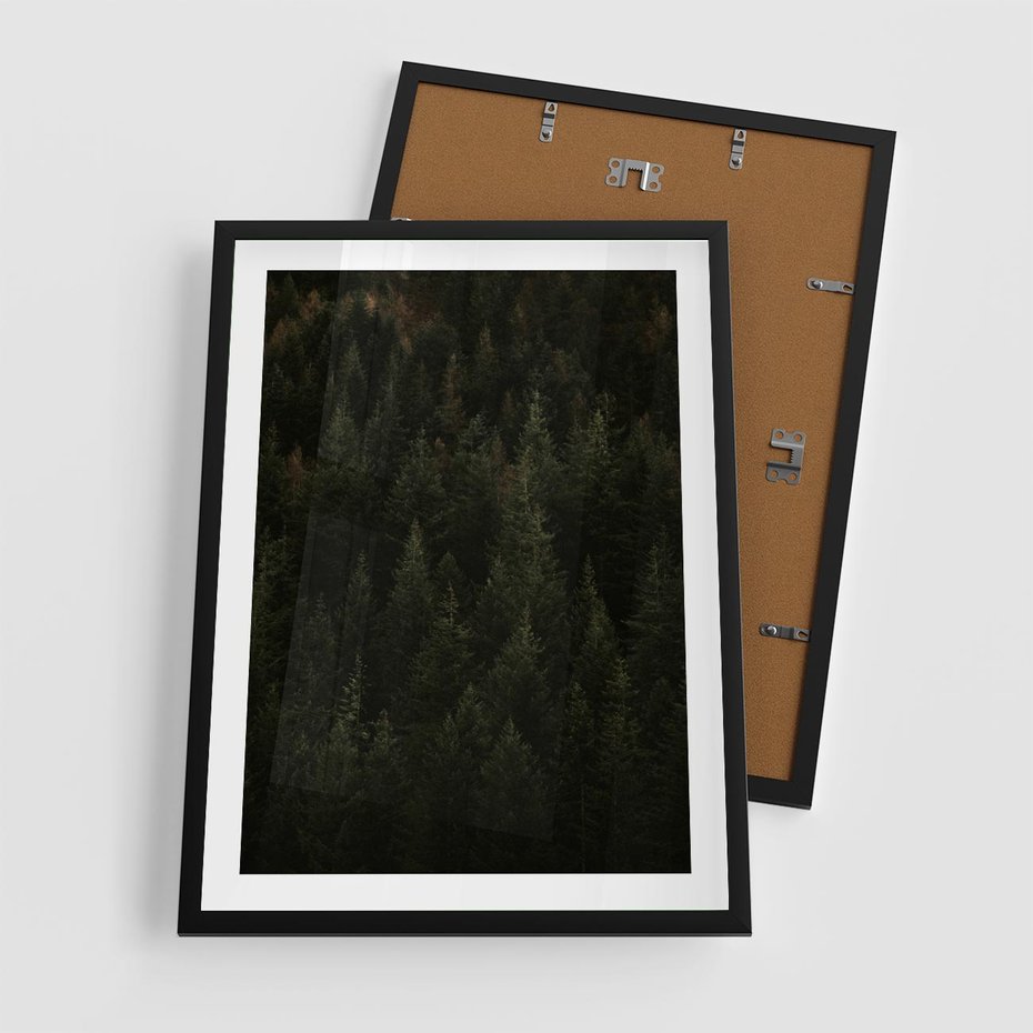 Plakat w ramie 50x70 - Ciemny las iglasty - las, iglasty - rama czarna