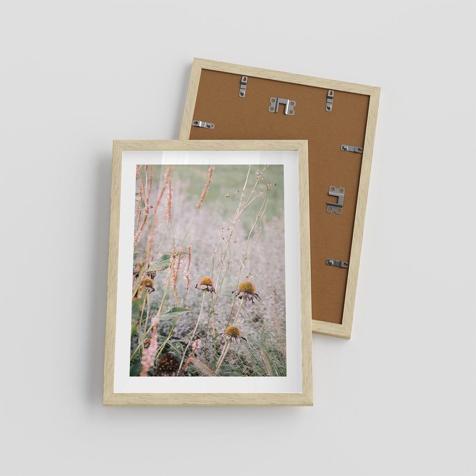 Plakat w ramie 30x40 - Przyroda w Pełnym Blasku: Kolorowa łąka z Kwiatami - łąka, kwiaty na łące - rama drewno