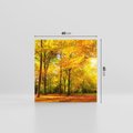 Obraz na płótnie 60x60 - Urok jesiennego lasu - las, drzewa