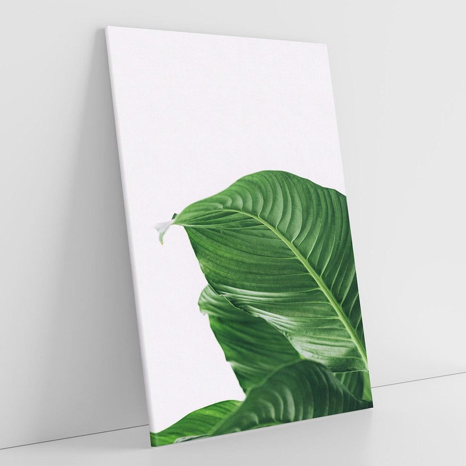 Obraz na płótnie 70x100 - Zielone liście monstery - liście, monstera