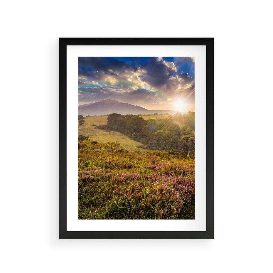 Plakat w ramie 30x40 - Pejzaż na łące - pejzaż, łąka - rama czarna
