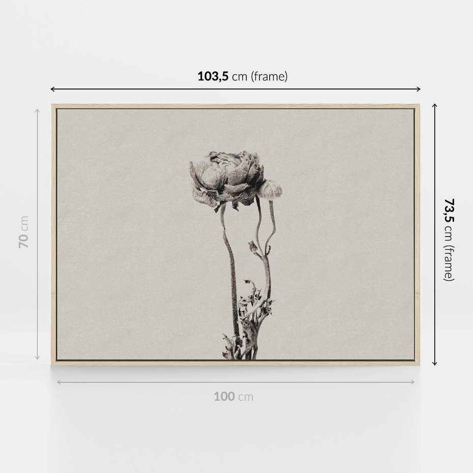 Obraz w ramie 100x70 - Cień Kwiatowej Delikatności - kwiat, cień - rama drewno