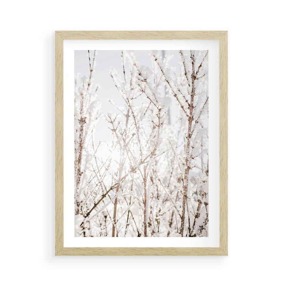 Plakat w ramie 50x70 - Szron na Gałęziach - ośnieżone gałązki, szron na gałęziach - rama drewno
