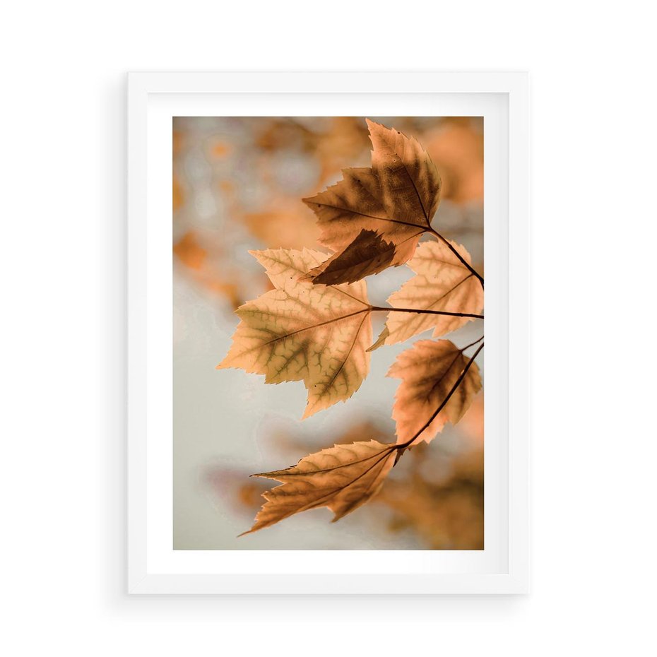Plakat w ramie 50x70 - Magia Jesieni - liście, jesień - rama biała