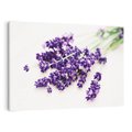 Obraz na płótnie 70x50 - Urok lawendowych kwiatów - lawenda, kwiaty