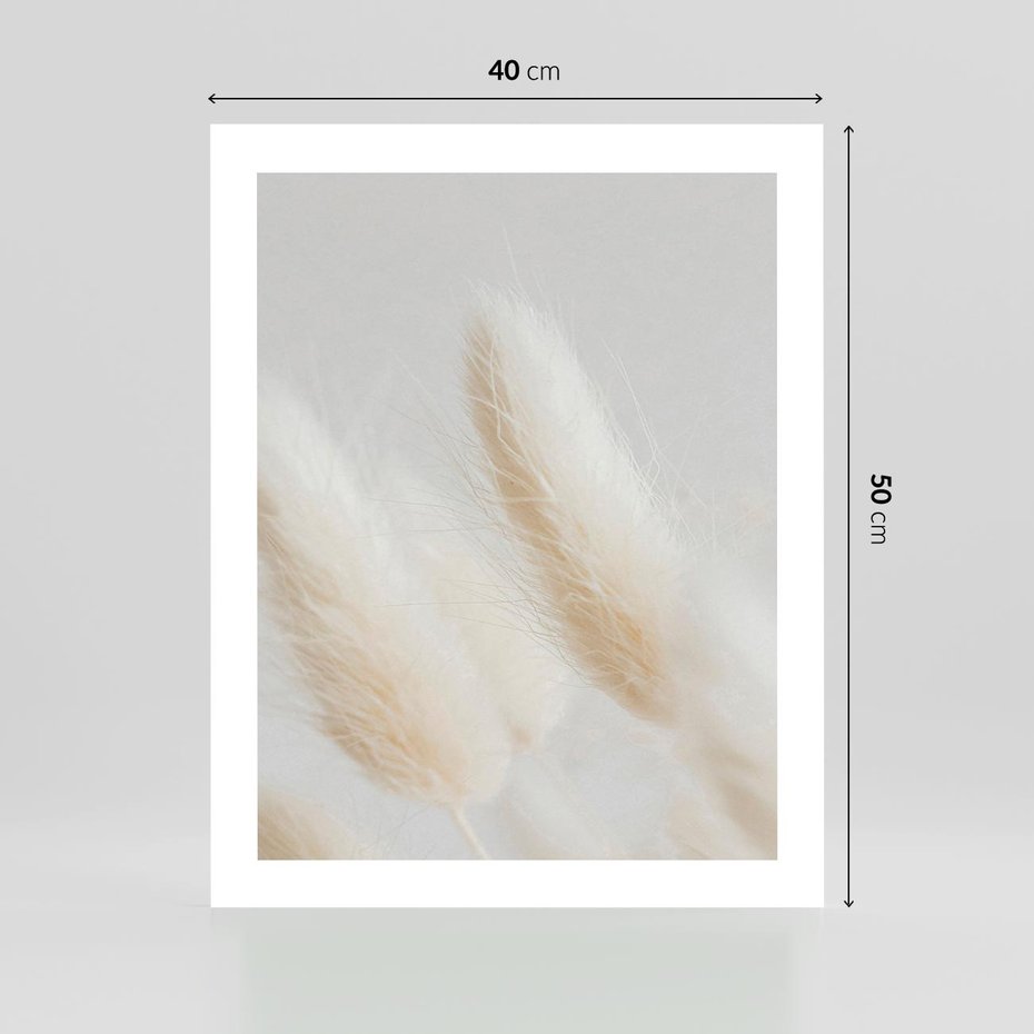 Plakat bez ramy 40x50 - Czysty Minimalizm - białe trawy, minimalizm