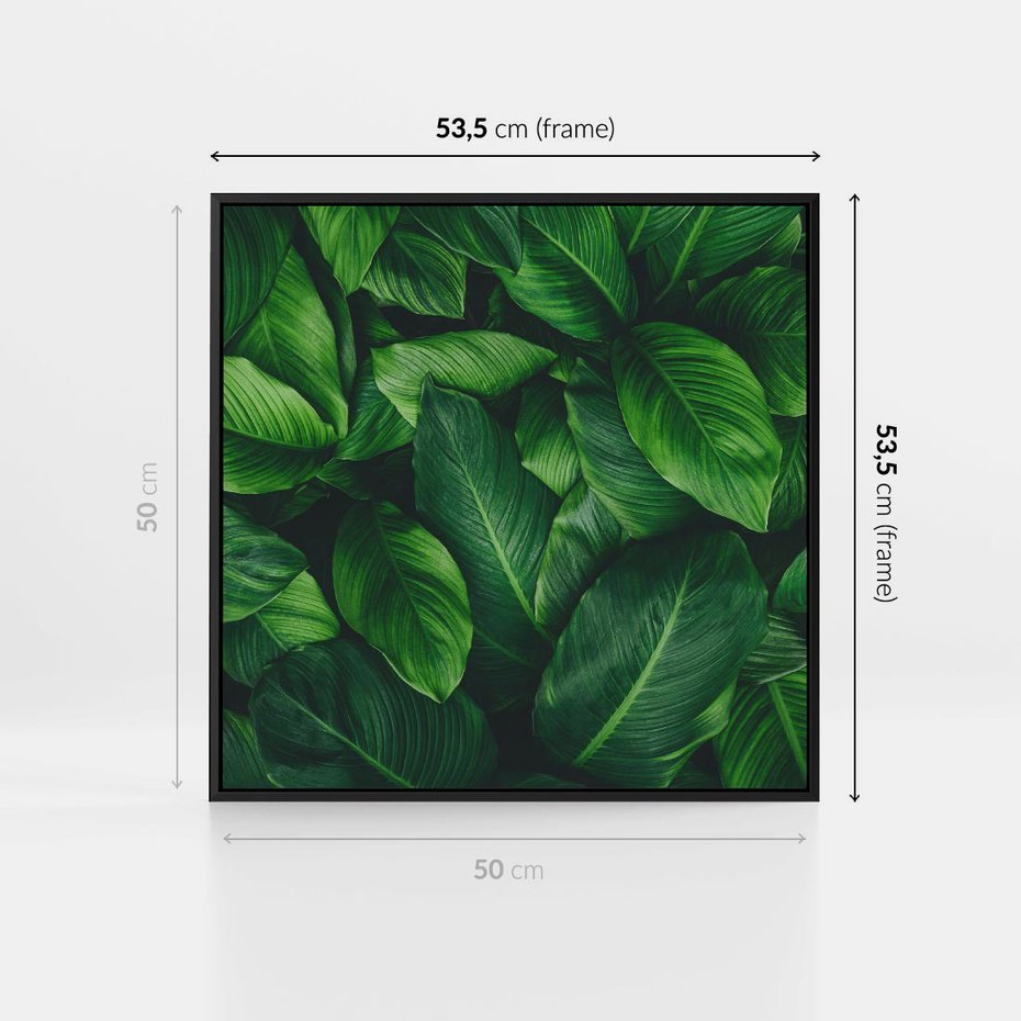 Obraz w ramie 50x50 - Palma Liście Kwiat - palma, liście - rama czarna