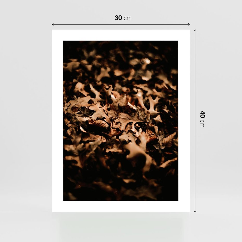 Plakat bez ramy 30x40 - Jesienne Liście: Nostalgiczna Kolorystyka - suche liście, jesień