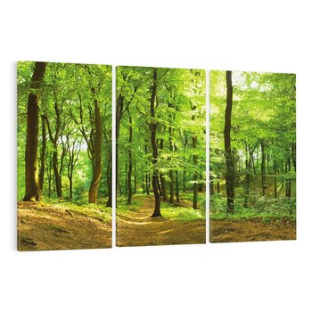 Obraz na płótnie 120x80 - Mistyka leśnych drzew - las, drzewa