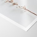Plakat bez ramy 50x70 - Minimalistyczna Gałązka Bawełny - bawełna, gałązka bawełny