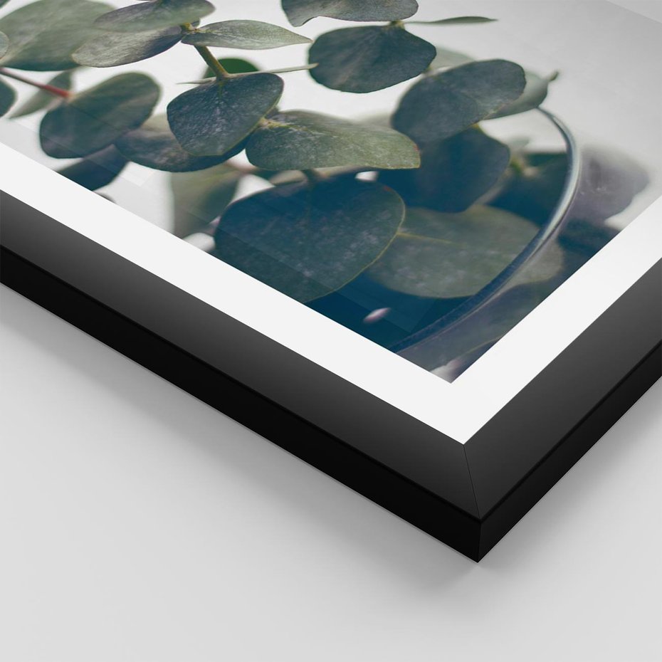 Plakat w ramie 30x40 - ukaliptusowa Harmonia - liście eukaliptusa - rama czarna