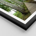 Plakat w ramie 50x70 - Spacer ścieżką przez brzozowy las - las, ścieżka - rama czarna