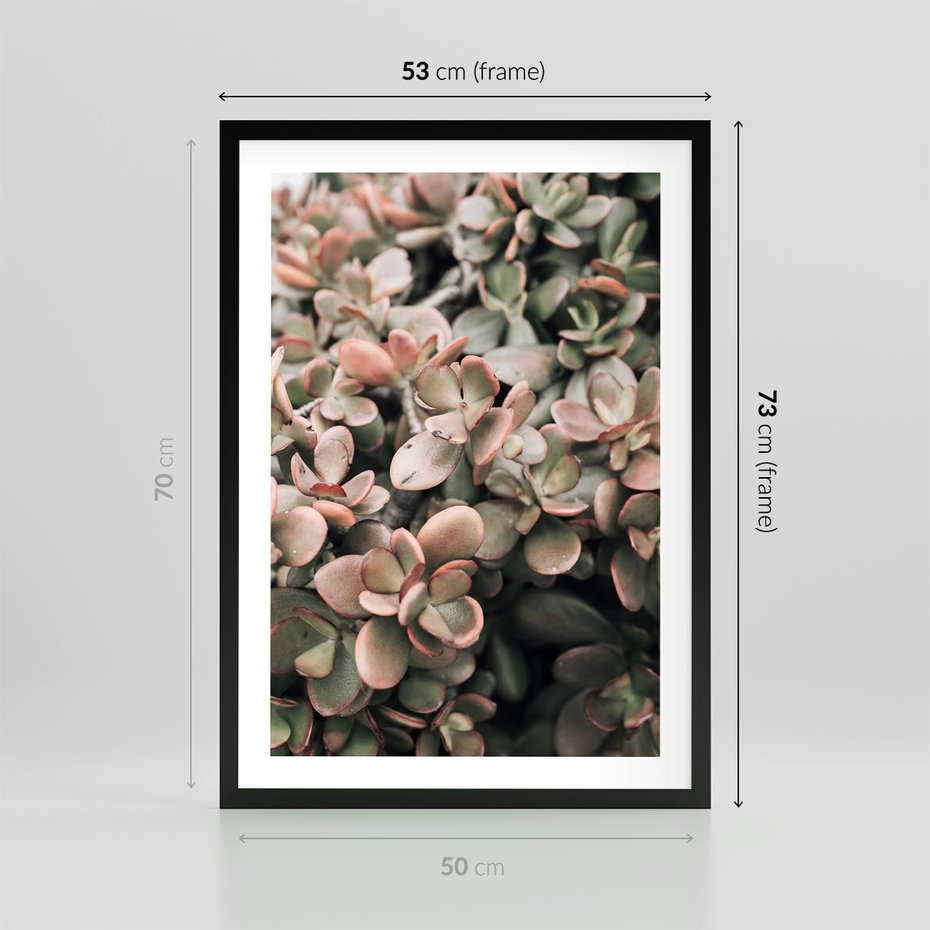 Plakat w ramie 50x70 - Sukulentowa Prostota - sukulenty, zielone liście - rama czarna