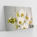 Obraz na płótnie 120x80 - Elegancka uroda orchidei - orchidea, kwiaty