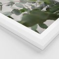 Plakat w ramie 50x70 - Liście eukaliptusa w naturze - eukaliptus, liście - rama biała