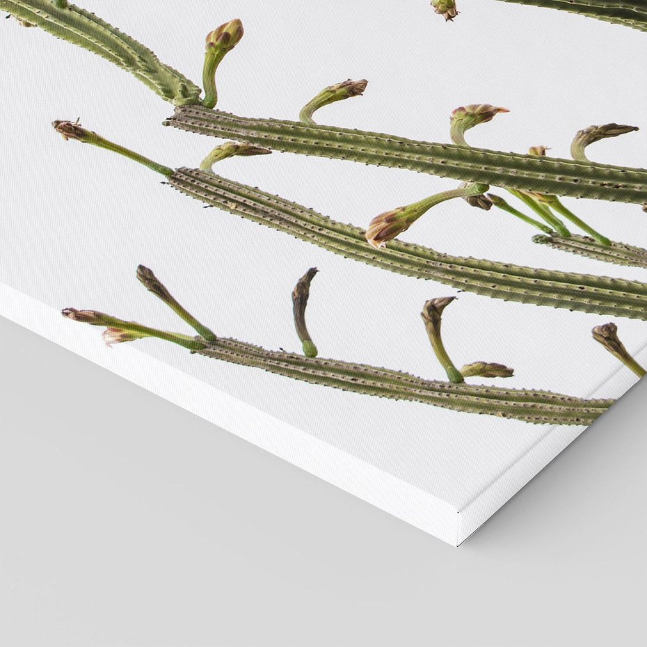 Obraz na płótnie 120x80 - Ekskluzywna Roślinność - kaktusy, liście