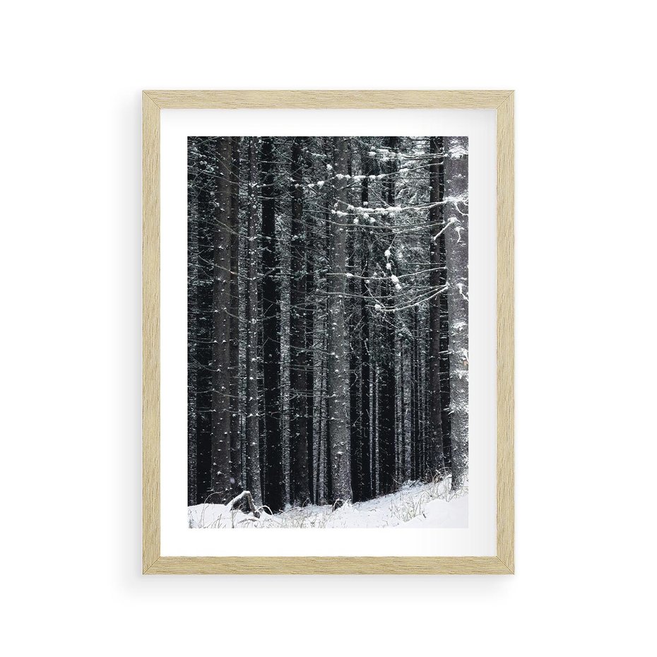 Plakat w ramie 30x40 - Leśna Cisza: Malowniczy Pejzaż Zimą - las zimą, ośnieżone pnie drzew - rama drewno