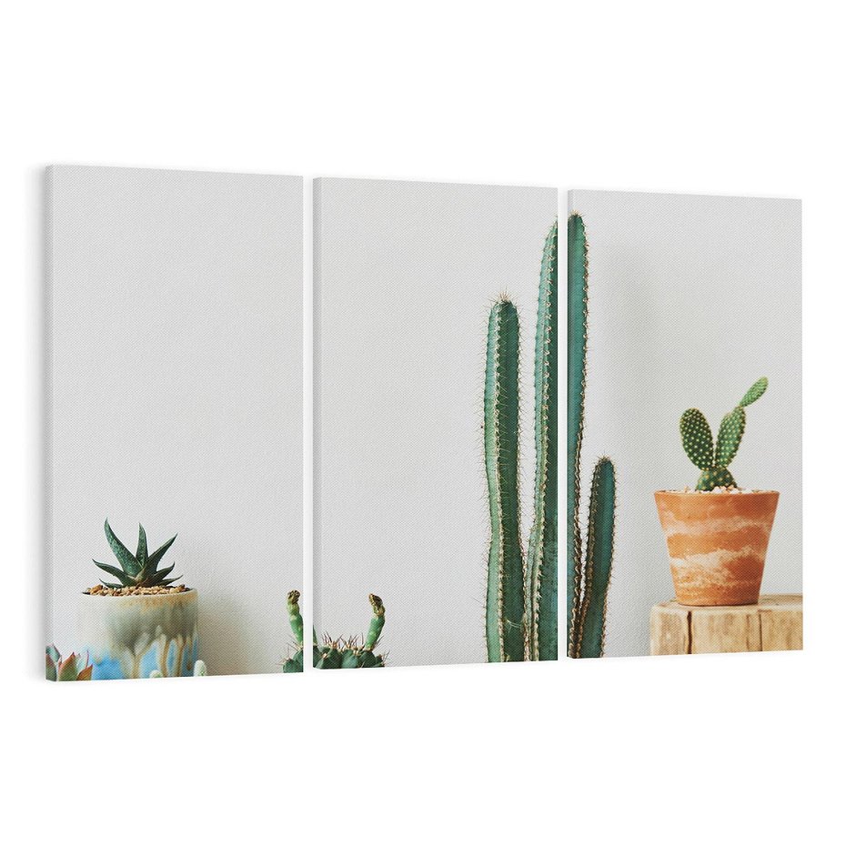 Obraz na płótnie 120x80 - Naturalna Harmonia - kaktusy, liście
