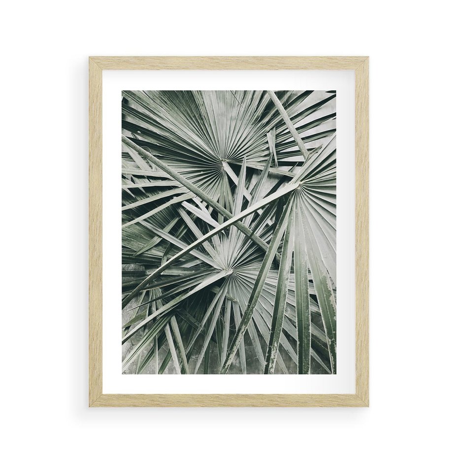 Plakat w ramie 40x50 - Palmy w Zgaszonej Zieleni - palmy, tropikalne liście - rama drewno