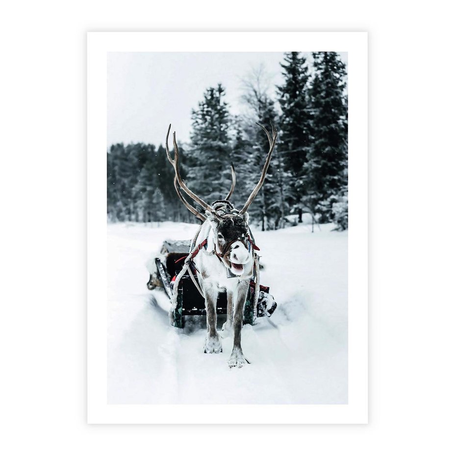 Plakat bez ramy 30x40 - Świąteczna Przygoda - renifer, śnieg
