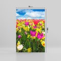 Obraz na płótnie 70x100 - tulipany na łące - kwiaty, tulipany