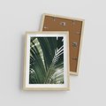 Plakat w ramie 30x40 - Tropikalne Uroki: Palmy i Zielone Liście - palmy, zielone liście - rama drewno