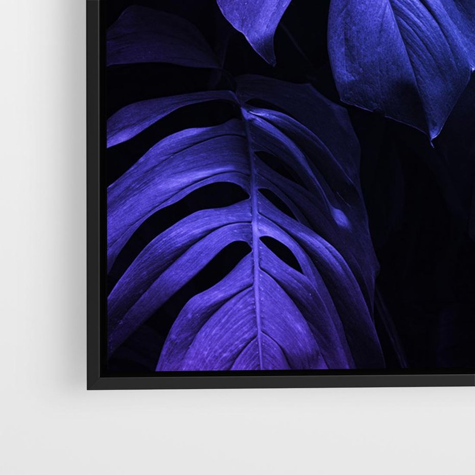 Obraz w ramie 70x50 - Mroczna Magia Dżungli - mroczna grafika, fioletowe liście monstery na czarnym tle - rama czarna