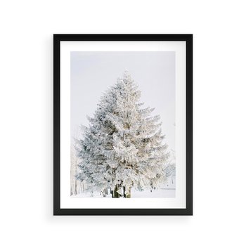Plakat w ramie 30x40 - Zimowa Poezja w Ośnieżonym Drzewie - ośnieżone drzewo, zima - rama czarna