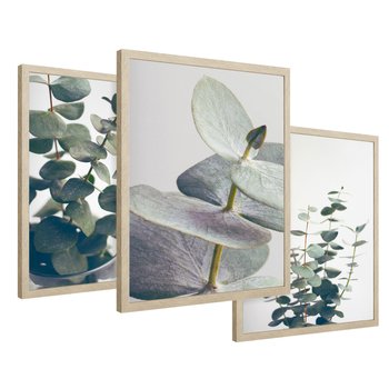 Zestaw obrazy w ramie 30x40 galeria - Eukaliptus, liście, skandynawski, boho - rama drewno