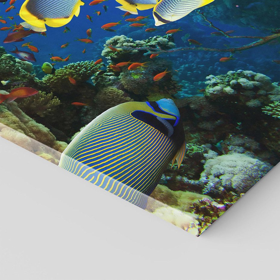 Obraz na płótnie 50x70 - Podwodne królestwo rafy koralowej - rafa, koralowa