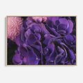 Obraz w ramie 120x80 - Fioletowa hortensja - kwiaty, hortensja - rama drewno