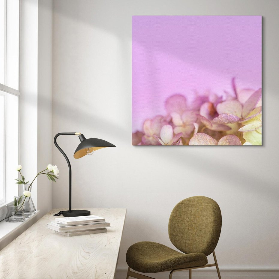 Obraz na płótnie 80x80 - Kwiatowa Uroda - kwiaty, hortensje