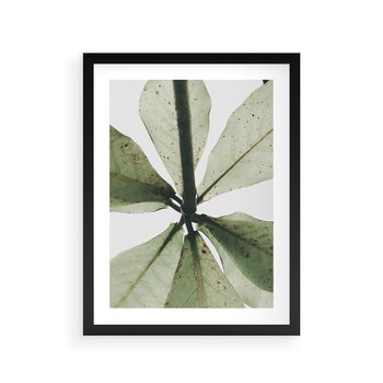 Plakat w ramie 50x70 - Jasna Zieleń w Makro - makro zdjęcie liści, jasna zieleń - rama czarna