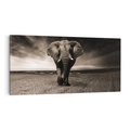 Obraz na płótnie 140x70 - Słoń - Wielki Przyjaciel Morza - słoń, plaża