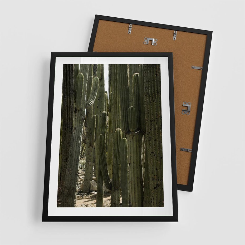 Plakat w ramie 50x70 - Wyjątkowy Klimat Boho - kaktusy, pustynia - rama czarna