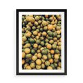 Plakat w ramie 50x70 - Świeżość Cytrusów - cytryny, limonki - rama czarna