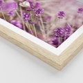 Plakat w ramie 40x50 - Majestat lawendy: fioletowe pola - lawenda, fiolet - rama drewno