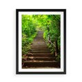 Plakat w ramie 50x70 - Lasowa ścieżka pełna tajemnic - ścieżka, schody - rama czarna