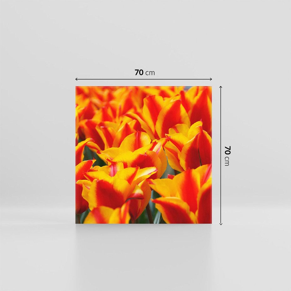 Obraz na płótnie 70x70 - Kwiatowa natura - kwiat, kwiaty