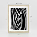Plakat w ramie 30x40 - Pasy Zebr - zebra, paski - rama drewno