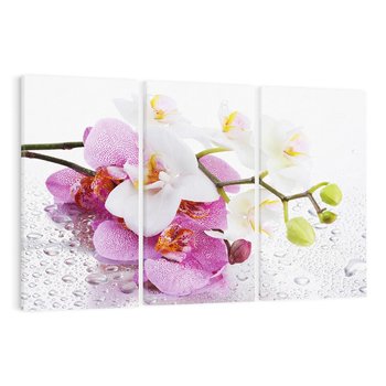 Obraz na płótnie 120x80 - Magia kwiatów - kwiaty