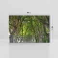 Obraz na płótnie 70x50 - Magiczny Las - drzewa, las