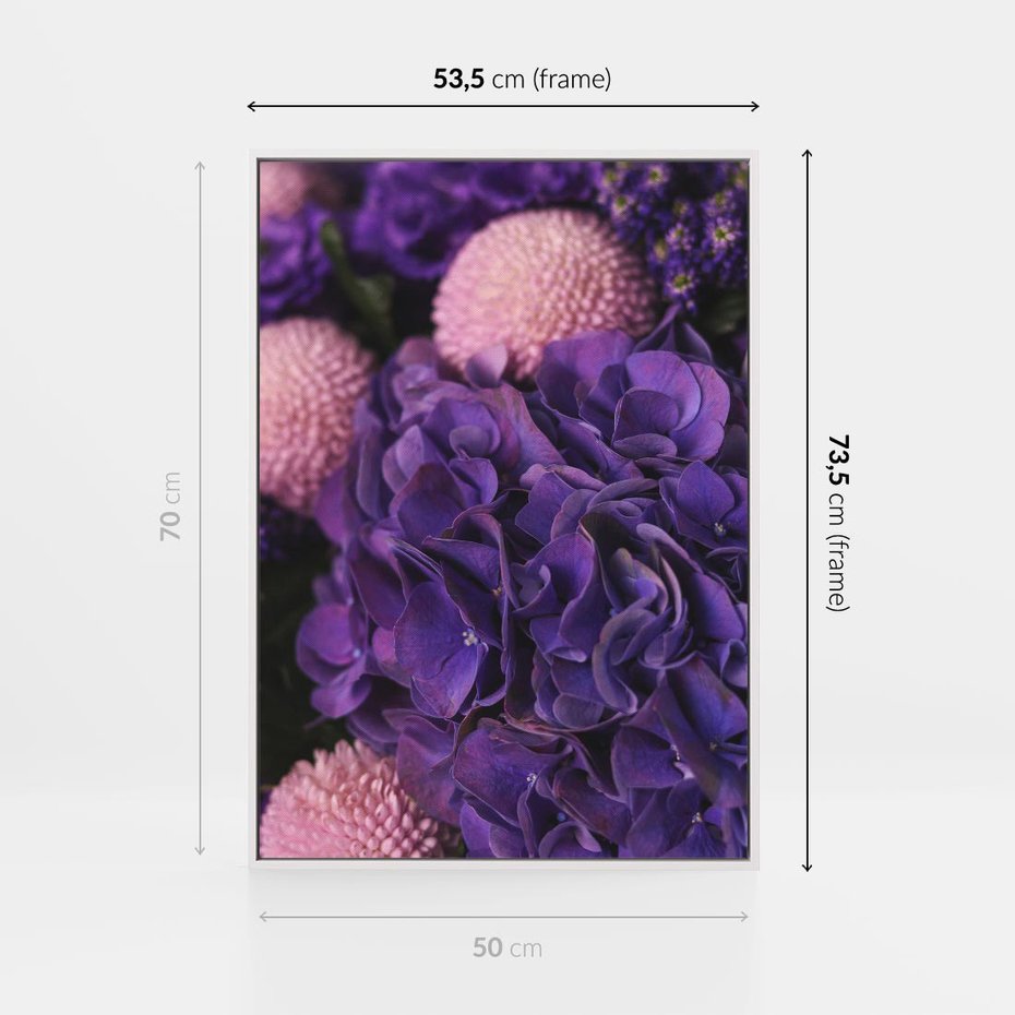 Obraz w ramie 50x70 - Fioletowa hortensja - kwiaty, hortensja - rama biała