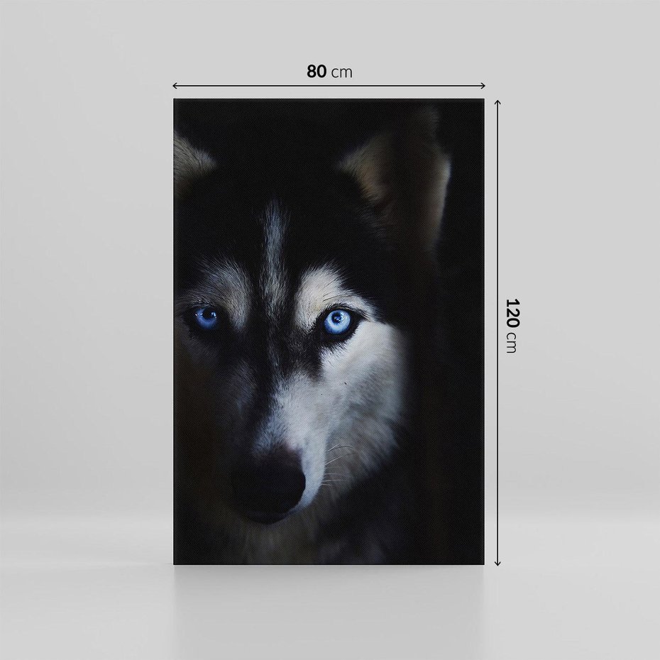 Obraz na płótnie 80x120 - Wilk i husky: siła przyjaźni - wilk, husky