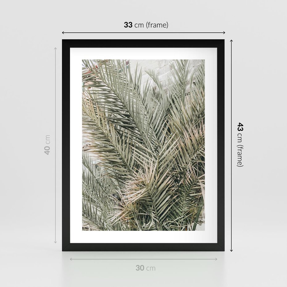 Plakat w ramie 30x40 - Egzotyczny Świat Palm - palmy, liście palmy - rama czarna