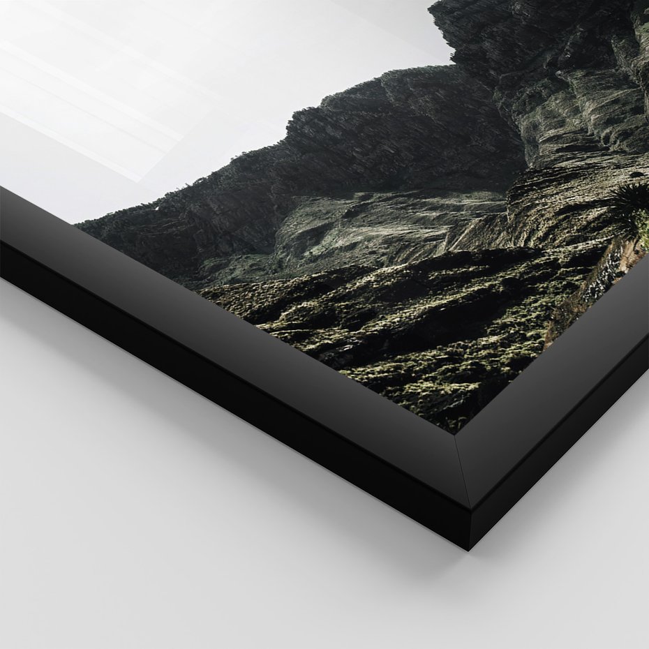 Zestaw obrazy w ramie 50x70 galeria - Pustynia, kaktusy, zieleń, boho - rama czarna