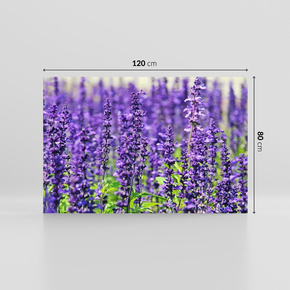 Obraz na płótnie 120x80 - Lawendowa Mgła - lawenda, kwiat
