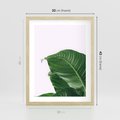 Plakat w ramie 30x40 - Zielone liście monstery - liście, monstera - rama drewno